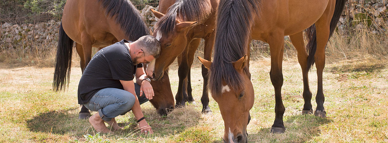 Programación Neurolingüística (PNL) asistida con caballos - Rafa Molina