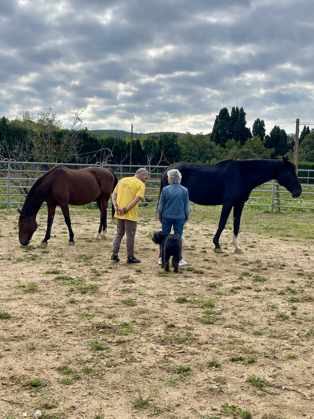Tu Espacio Equino de Transformación - Rafa Molina