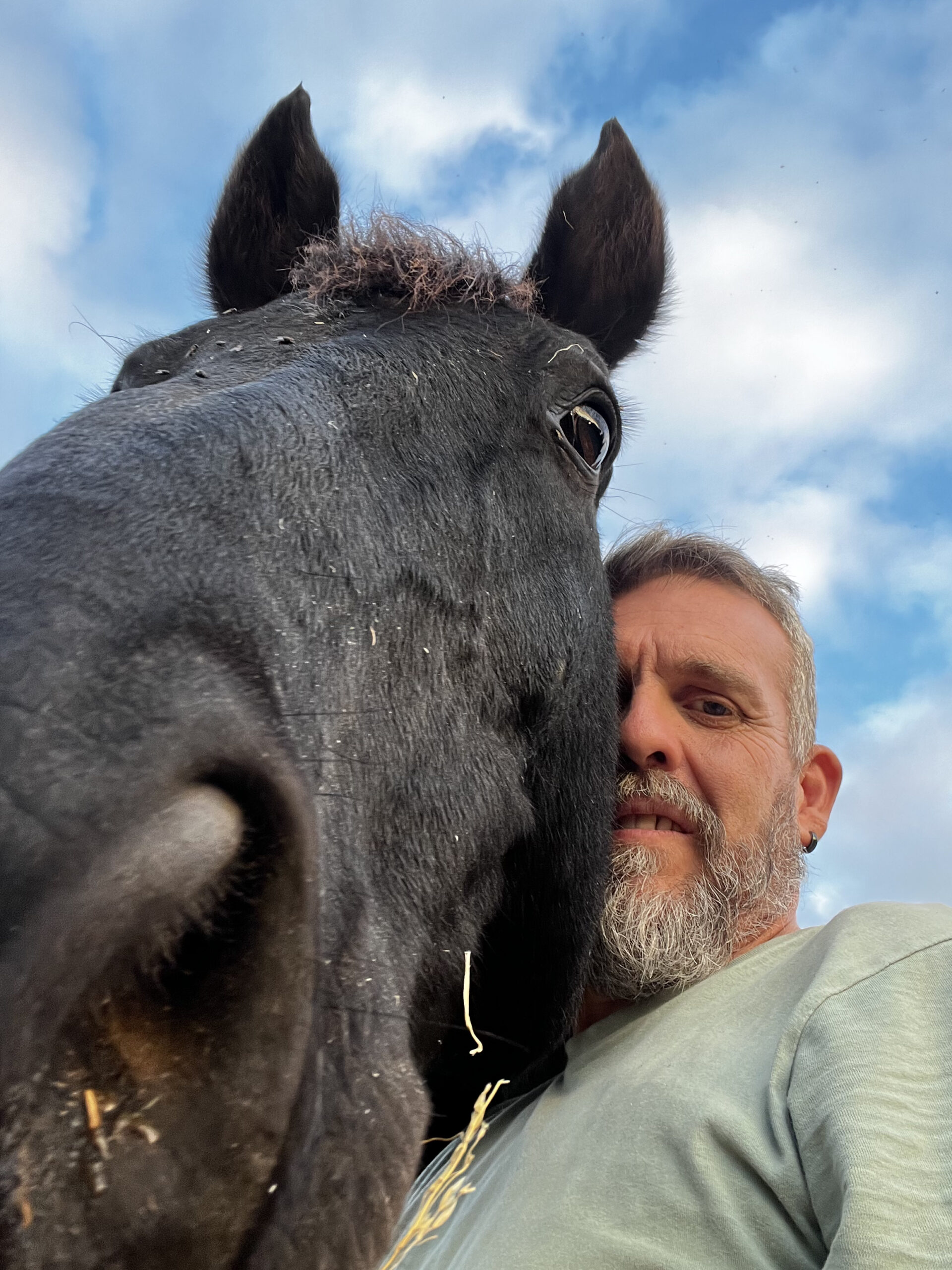 TERAPIAS CON CABALLOS RAFA MOLINA